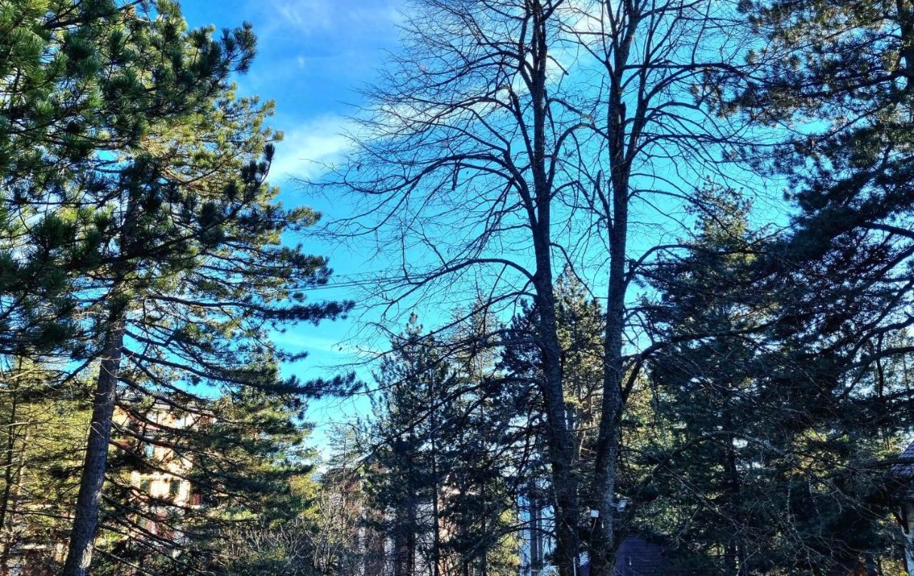 Vila Lucic Zlatibor Kültér fotó
