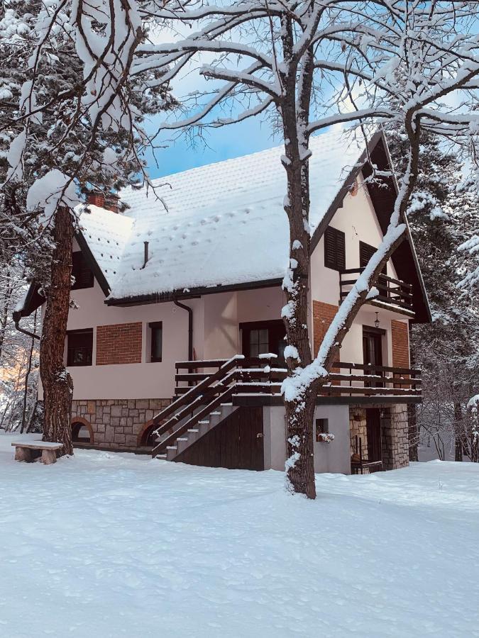 Vila Lucic Zlatibor Kültér fotó