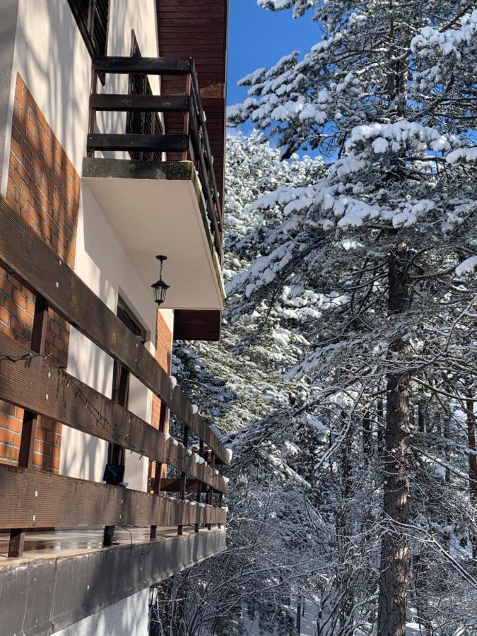 Vila Lucic Zlatibor Kültér fotó