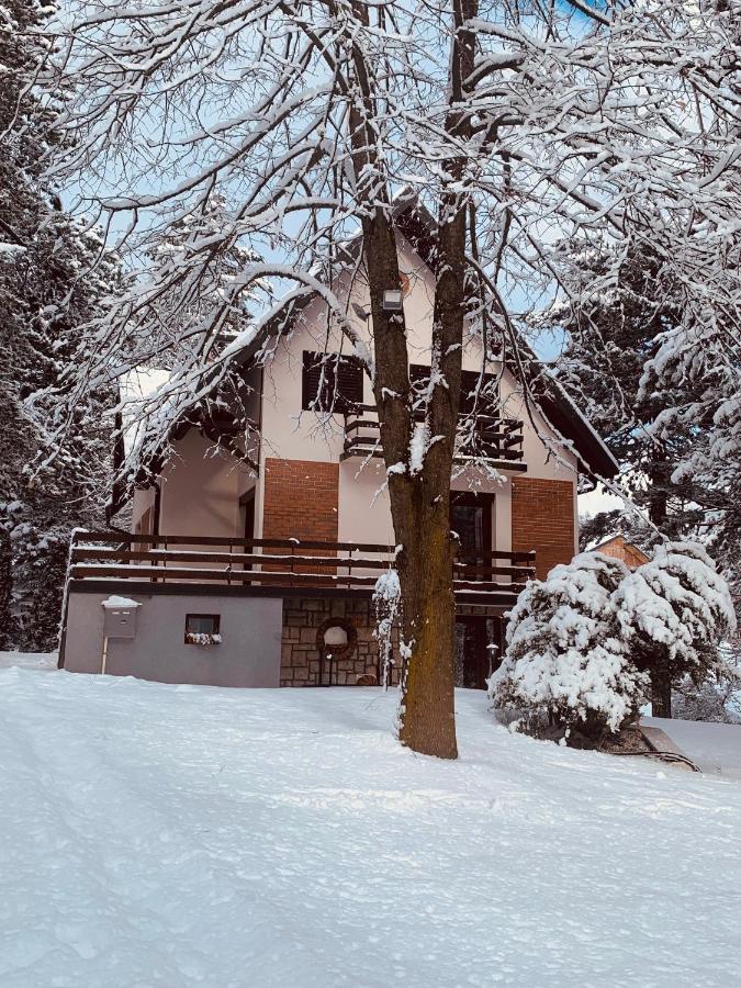 Vila Lucic Zlatibor Kültér fotó