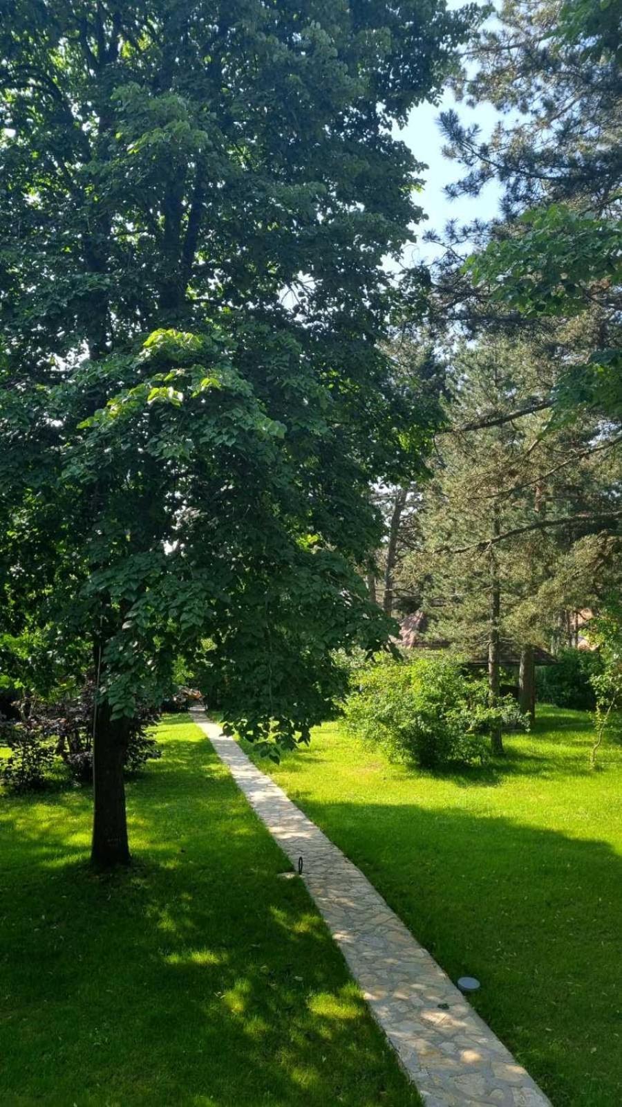 Vila Lucic Zlatibor Kültér fotó